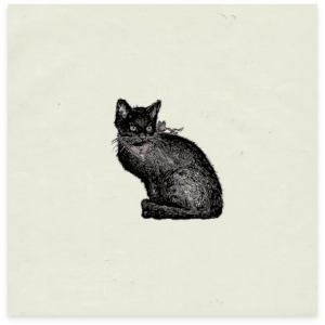 cover2
