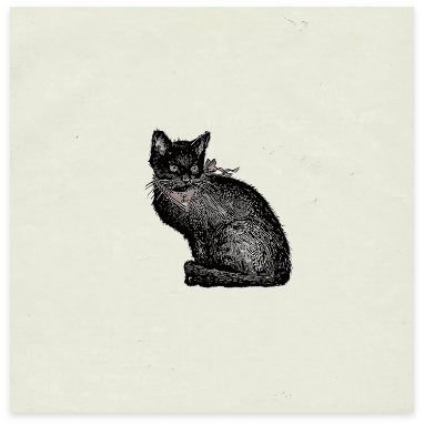 cover2